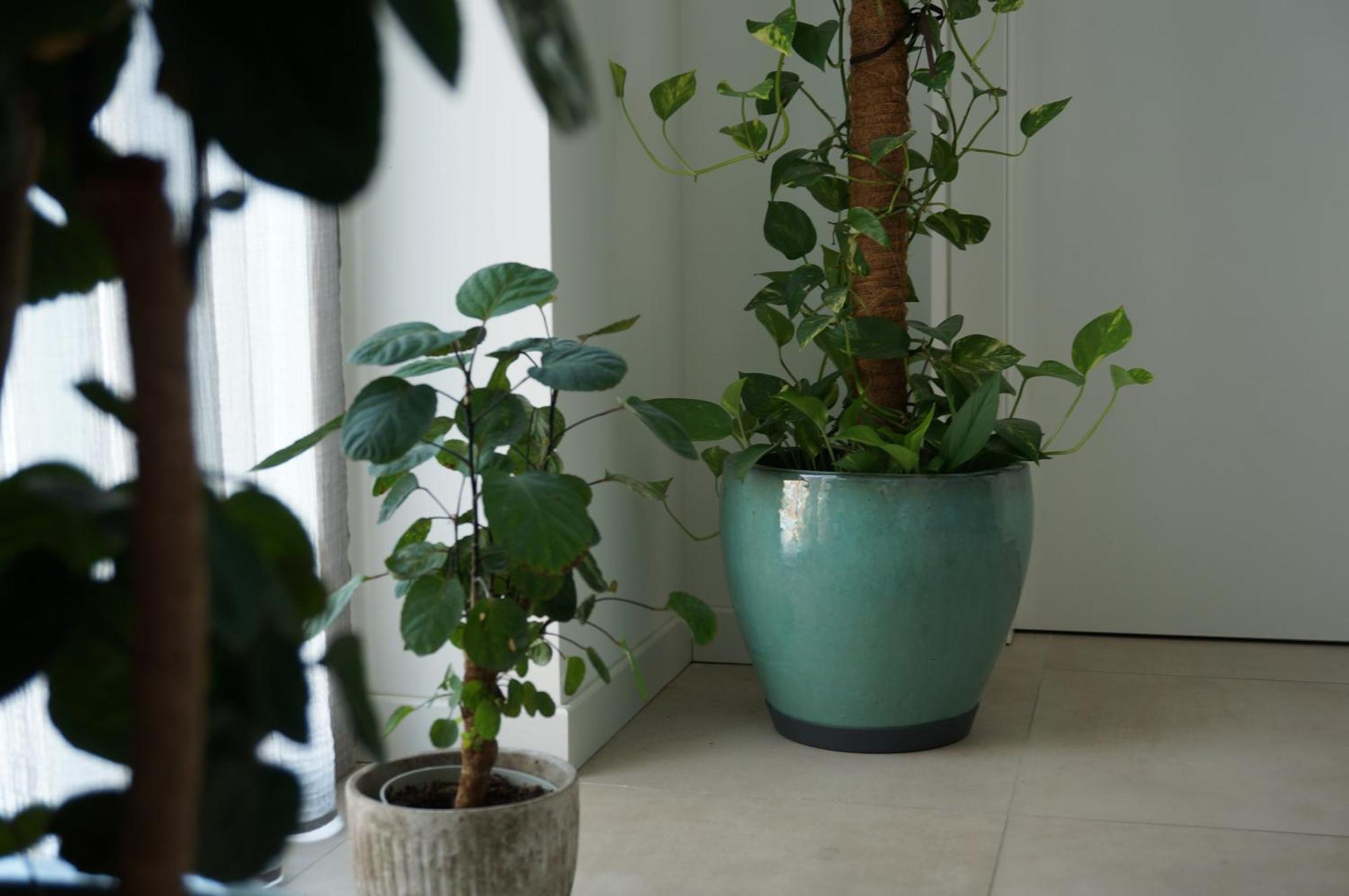 Green Stay Μπέργκαμο Εξωτερικό φωτογραφία
