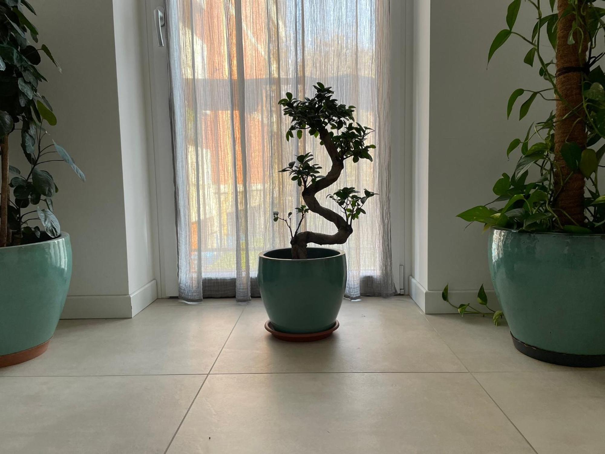 Green Stay Μπέργκαμο Εξωτερικό φωτογραφία